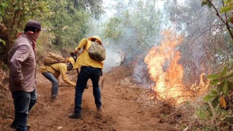 Incendios en Jilotzingo: el fuego está terminando con uno de los pulmones más importantes del Valle de México